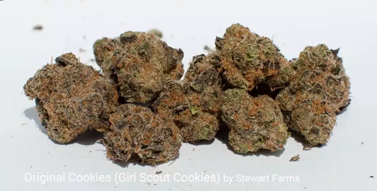 GIRL SCOUT COOKIES